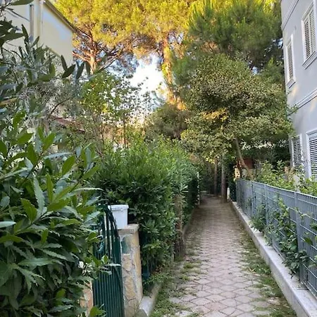 펜션 New Lovely Vacation House